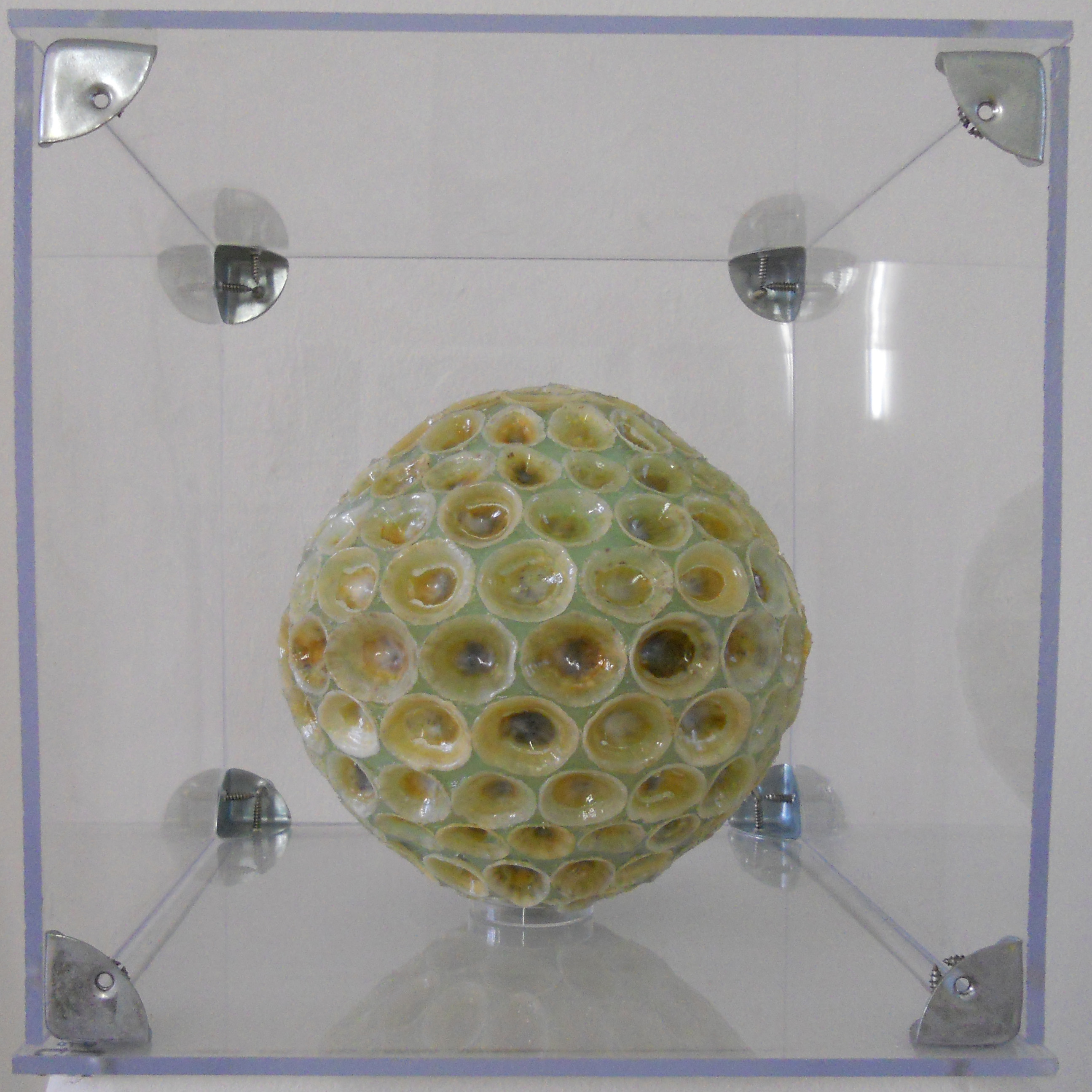 MW 05 (Hohe Aufl&ouml;sung)